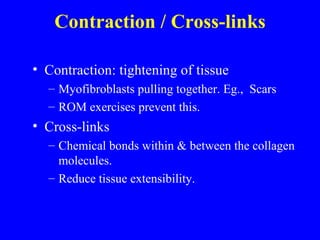 Contraction / Cross-links Contraction: tightening of tissue  Myofibroblasts pulling together. Eg.,  Scars ROM exercises prevent this. Cross-links Chemical bonds within & between the collagen molecules. Reduce tissue extensibility. 