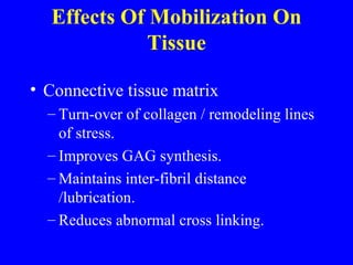 Effects Of Mobilization On Tissue Connective tissue matrix Turn-over of collagen / remodeling lines of stress. Improves GAG synthesis. Maintains inter-fibril distance /lubrication. Reduces abnormal cross linking. 