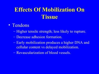 Effects Of Mobilization On Tissue Tendons Higher tensile strength; less likely to rupture. Decrease adhesion formation. Early mobilization produces a higher DNA and cellular content vs delayed mobilization.  Revascularization of blood vessels. 
