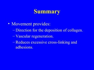 Summary Movement provides: Direction for the deposition of collagen. Vascular regeneration. Reduces excessive cross-linking and adhesions. 