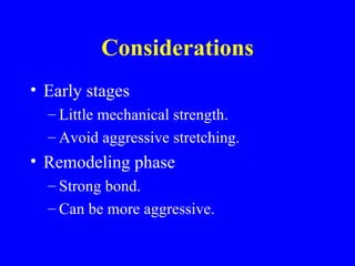 Considerations Early stages Little mechanical strength. Avoid aggressive stretching. Remodeling phase Strong bond.  Can be more aggressive. 