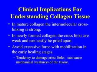 Clinical Implications For Understanding Collagen Tissue In mature collagen the intermolecular cross-linking is strong. In newly formed collagen the cross links are weak and can easily be pried apart. Avoid excessive force with mobilization in the early healing stages. Tendency to damage cross links:  can cause mechanical weakness of the tissue . 
