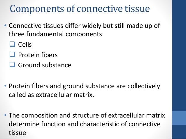 Connective Tissues
