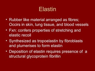Elastin
• Rubber like material arranged as fibres;
Occirs in skin, lung tissue, and blood vessels
• Fxn: confers properties of stretching and
elastic recoil
• Synthesized as tropoelastin by fibroblasts
and plumerises to form elastin
• Deposition of elastin requires presence of a
structural glycoprotein fibrillin
 