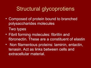 Structural glycoprotiens
• Composed of protein bound to branched
polysaccharides molecules
Two types
• Fibril forming molecules: fibrillin and
fibronectin. These are a constituent of elastin
• Non filamentous proteins: laminin, entactin,
tenasin. Act as links between cells and
extracellular material.
 