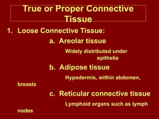 True or Proper Connective
Tissue
1. Loose Connective Tissue:
a. Areolar tissue
Widely distributed under
epithelia
b. Adipose tissue
Hypodermis, within abdomen,
breasts
c. Reticular connective tissue
Lymphoid organs such as lymph
nodes
 
