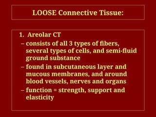 LOOSE Connective Tissue:
1. Areolar CT
– consists of all 3 types of fibers,
several types of cells, and semi-fluid
ground substance
– found in subcutaneous layer and
mucous membranes, and around
blood vessels, nerves and organs
– function = strength, support and
elasticity
 