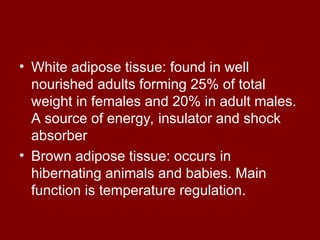 • White adipose tissue: found in well
nourished adults forming 25% of total
weight in females and 20% in adult males.
A source of energy, insulator and shock
absorber
• Brown adipose tissue: occurs in
hibernating animals and babies. Main
function is temperature regulation.
 
