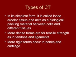 Types of CT
• In its simplest form, it is called loose
areolar tissue and acts as a biological
packing material between cells and
different tissues
• More dense forms are for tensile strength
as in tendons and ligaments
• More rigid forms occur in bones and
cartilage
 