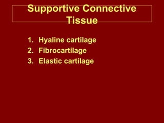 Supportive Connective
Tissue
1. Hyaline cartilage
2. Fibrocartilage
3. Elastic cartilage
 