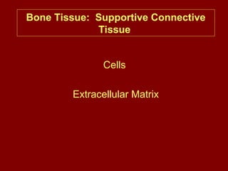 Bone Tissue: Supportive Connective
Tissue
Cells
Extracellular Matrix
 