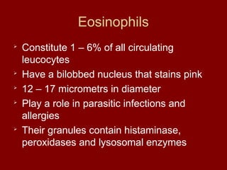 Eosinophils

Constitute 1 – 6% of all circulating
leucocytes

Have a bilobbed nucleus that stains pink

12 – 17 micrometrs in diameter

Play a role in parasitic infections and
allergies

Their granules contain histaminase,
peroxidases and lysosomal enzymes
 