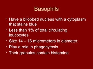 Basophils

Have a bilobbed nucleus with a cytoplasm
that stains blue

Less than 1% of total circulating
leucocytes

Size 14 – 16 micrometers in diameter.

Play a role in phagocytosis

Their granules contain histamine
 