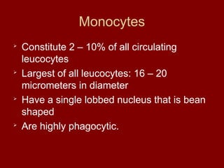 Monocytes

Constitute 2 – 10% of all circulating
leucocytes

Largest of all leucocytes: 16 – 20
micrometers in diameter

Have a single lobbed nucleus that is bean
shaped

Are highly phagocytic.
 