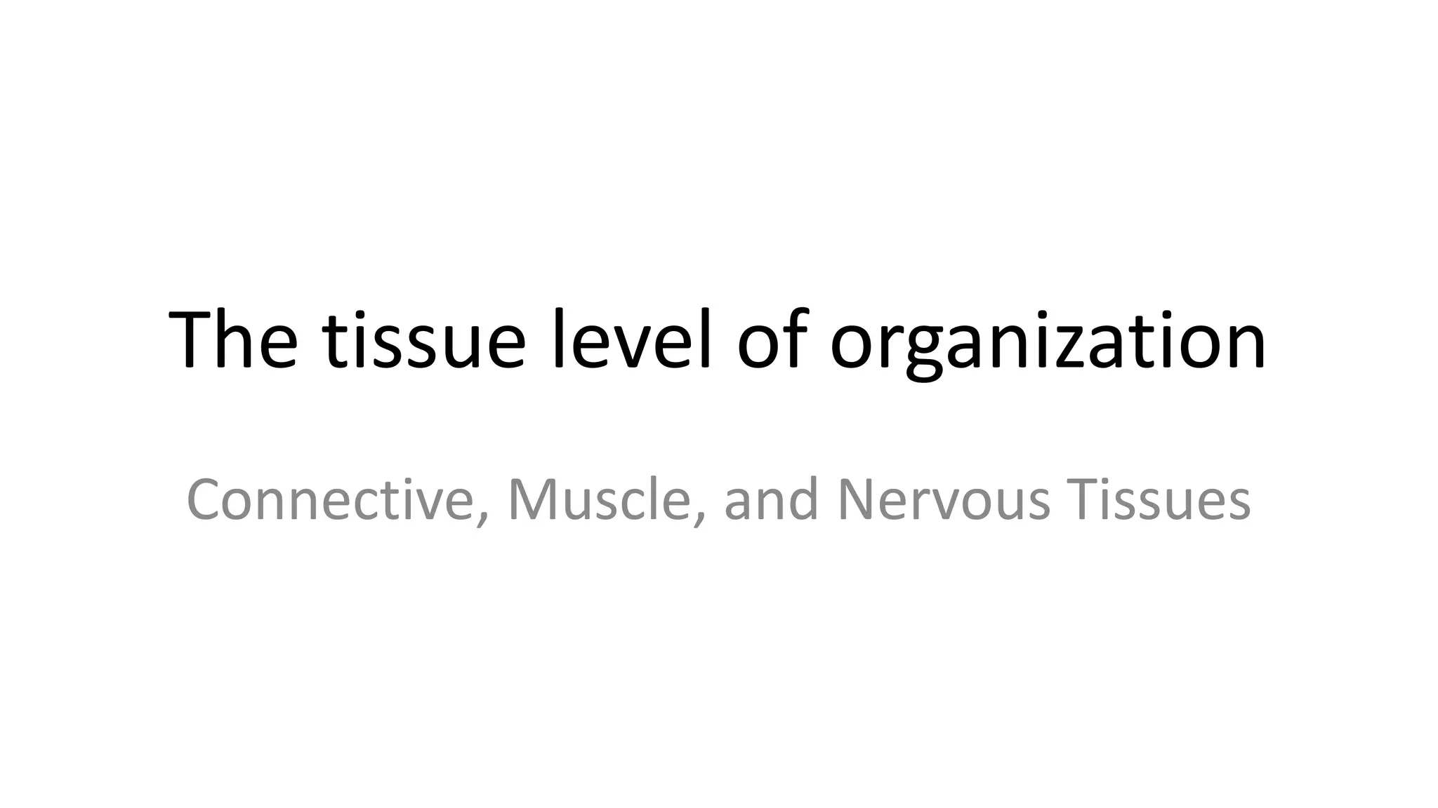 The tissue level of organization
Connective, Muscle, and Nervous Tissues