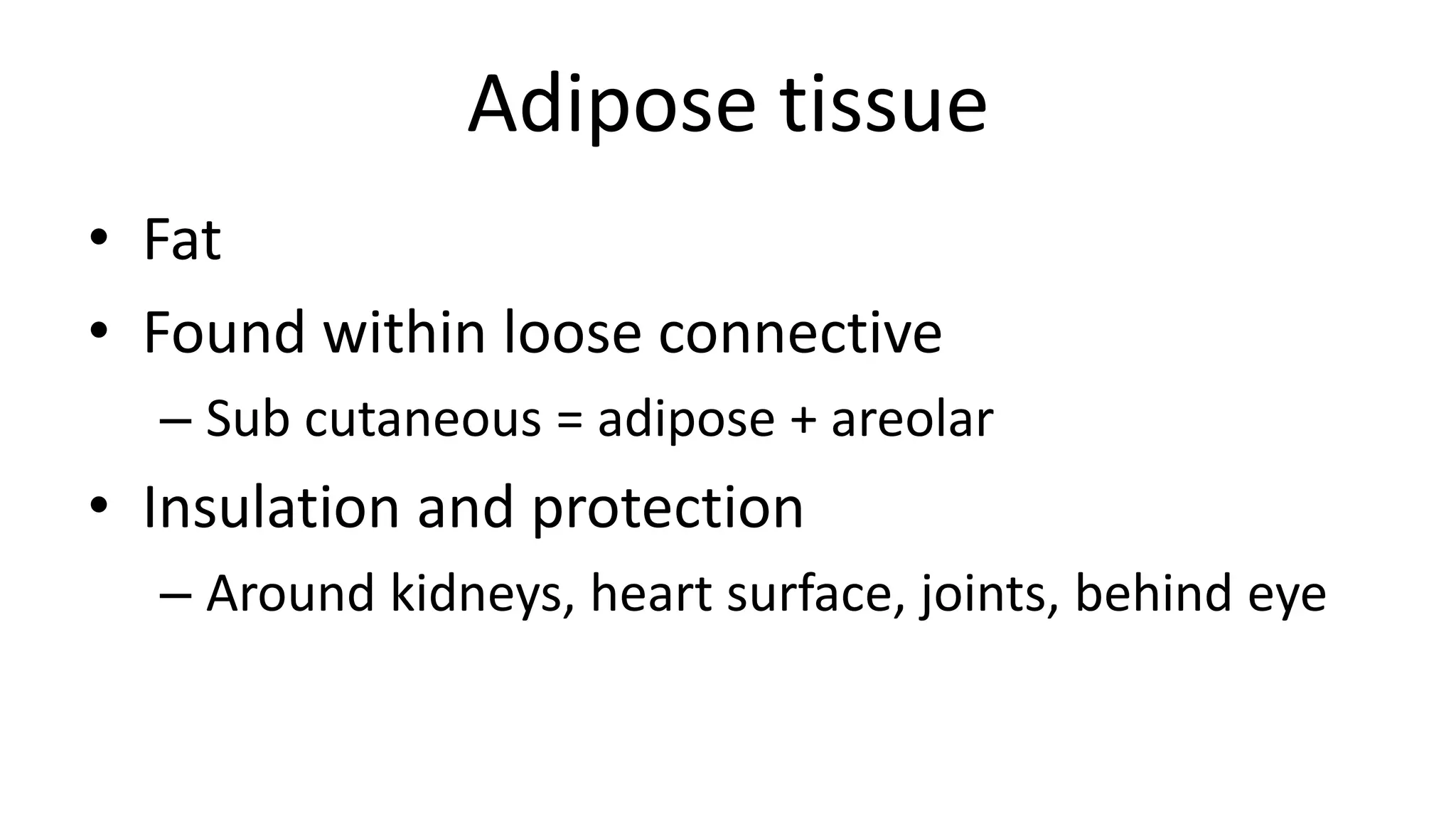 Adipose tissue
• Fat
• Found within loose connective
– Sub cutaneous = adipose + areolar
• Insulation and protection
– Around kidneys, heart surface, joints, behind eye