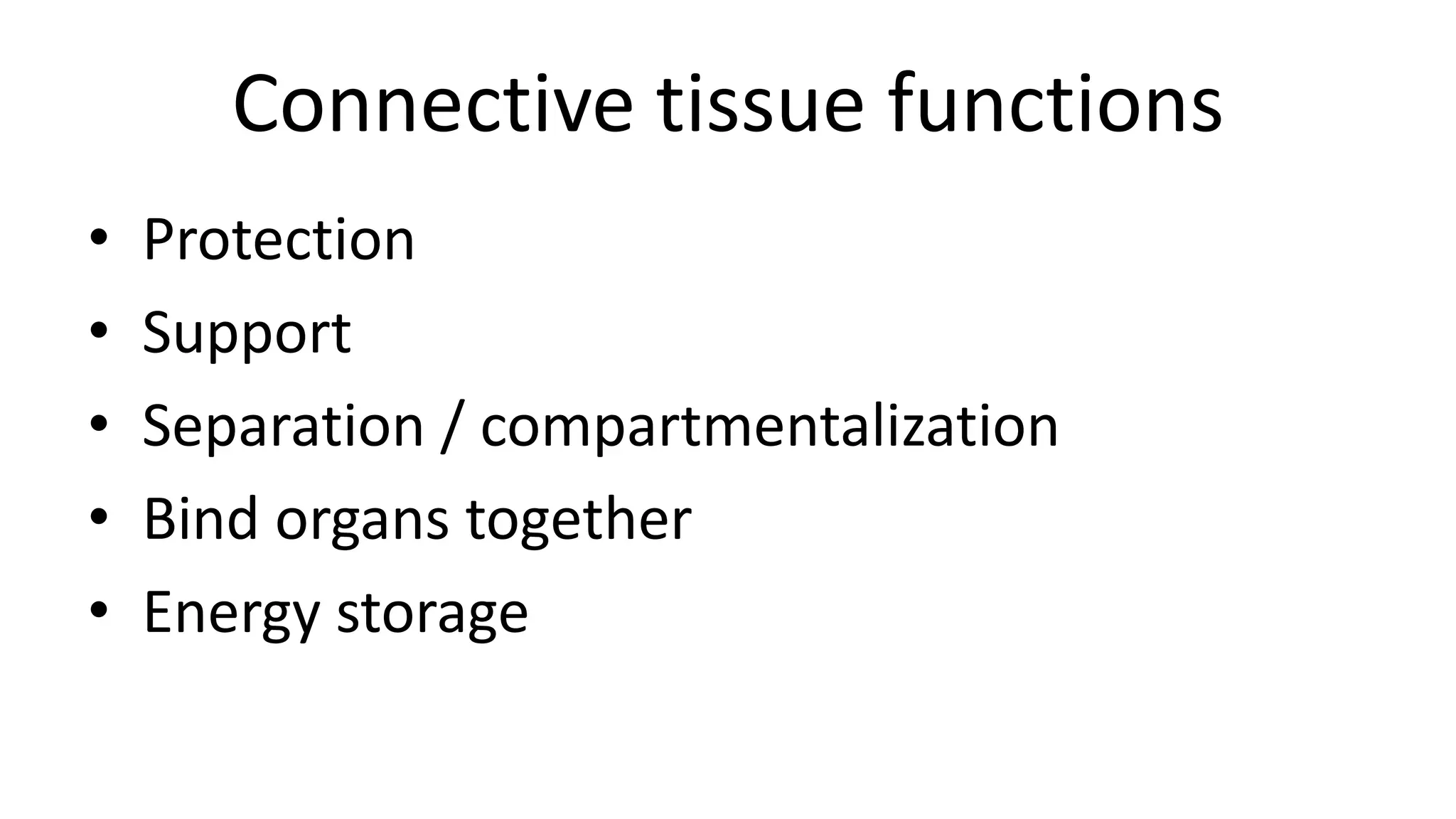 Connective tissue functions
• Protection
• Support
• Separation / compartmentalization
• Bind organs together
• Energy storage