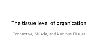 The tissue level of organization
Connective, Muscle, and Nervous Tissues
 