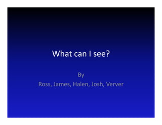What can I see?

              By
Ross, James, Halen, Josh, Verver
 