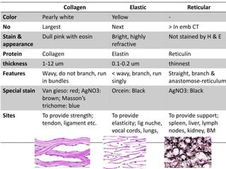 Collagen Elastic Reticular
Color Pearly white Yellow -
No Largest Next > In emb CT
Stain &
appearance
Dull pink with eosin Bright, highly
refractive
Not stained by H & E
Protein Collagen Elastin Reticulin
thickness 1-12 um 0.1-0.2 um thinnest
Features Wavy, do not branch, run
in bundles
< wavy, branch, run
singly
Straight, branch &
anastomose-reticulum
Special stain Van gieso: red; AgNO3:
brown; Masson’s
trichome: blue
Orcein: Black AgNO3: Black
Sites To provide strength;
tendon, ligament etc.
To provide
elasticity; lig nuche,
vocal cords, lungs,
aorta
To provide support;
spleen, liver, lymph
nodes, kidney, BM
 