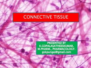 1
CONNECTIVE TISSUE
gskpungai@gmail.com 2/8/2017
 