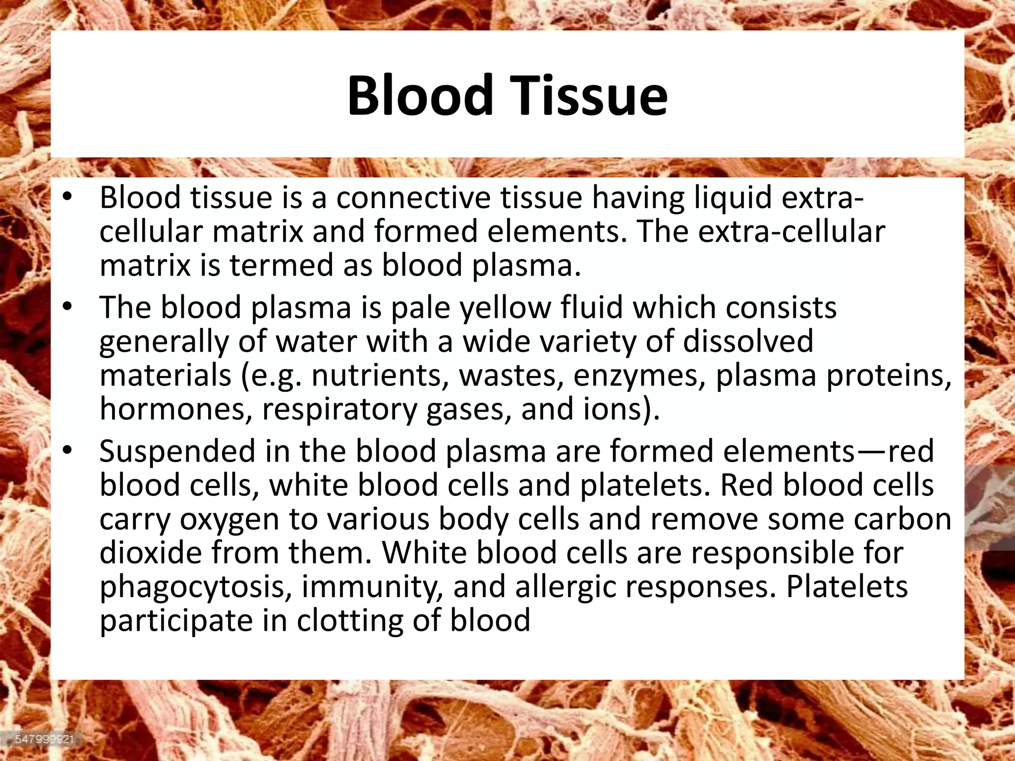 Blood Tissue
• Blood tissue is a connective tissue having liquid extra-
cellular matrix and formed elements. The extra-cellular
matrix is termed as blood plasma.
• The blood plasma is pale yellow fluid which consists
generally of water with a wide variety of dissolved
materials (e.g. nutrients, wastes, enzymes, plasma proteins,
hormones, respiratory gases, and ions).
• Suspended in the blood plasma are formed elements—red
blood cells, white blood cells and platelets. Red blood cells
carry oxygen to various body cells and remove some carbon
dioxide from them. White blood cells are responsible for
phagocytosis, immunity, and allergic responses. Platelets
participate in clotting of blood
 