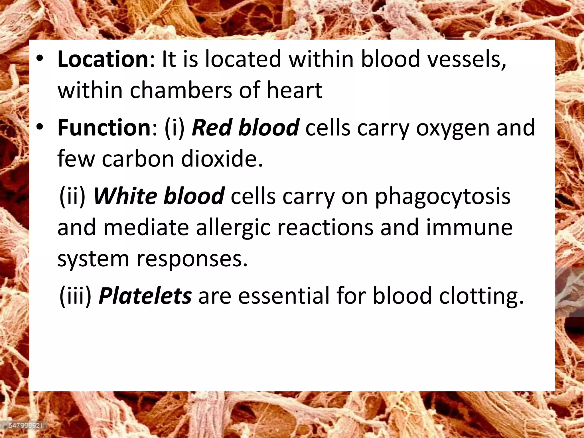 • Location: It is located within blood vessels,
within chambers of heart
• Function: (i) Red blood cells carry oxygen and
few carbon dioxide.
(ii) White blood cells carry on phagocytosis
and mediate allergic reactions and immune
system responses.
(iii) Platelets are essential for blood clotting.
 