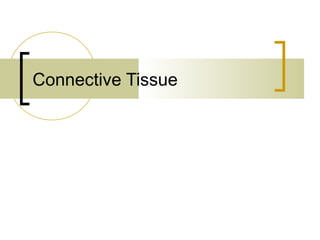 Connective Tissue
 