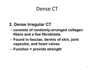 Dense CT
2. Dense Irregular CT
– consists of randomly-arranged collagen
fibers and a few fibroblasts
– Found in fasciae, dermis of skin, joint
capsules, and heart valves
– Function = provide strength
12
 