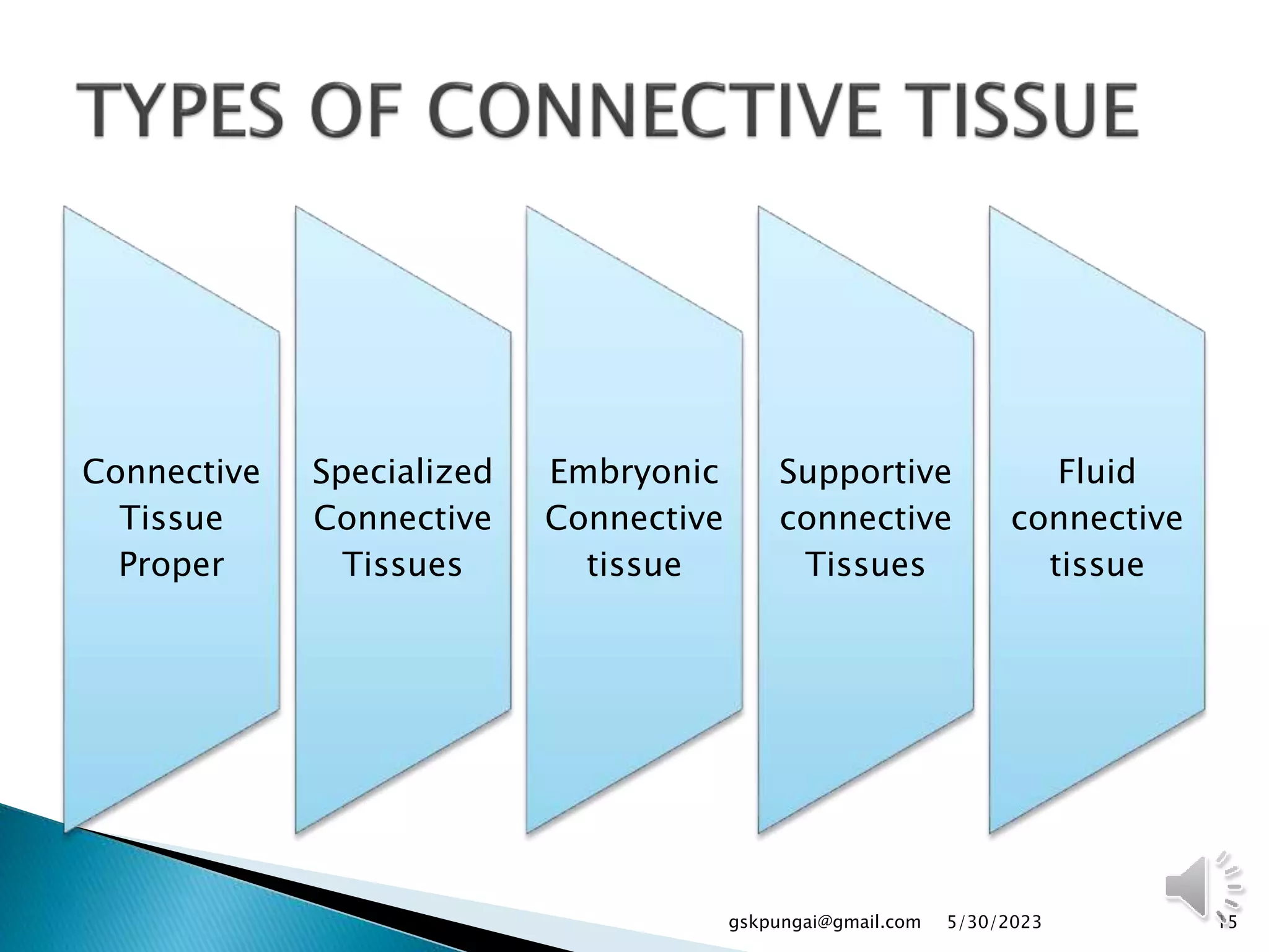 Connective
Tissue
Proper
Specialized
Connective
Tissues
Embryonic
Connective
tissue
Supportive
connective
Tissues
Fluid
connective
tissue
15
gskpungai@gmail.com 5/30/2023
 