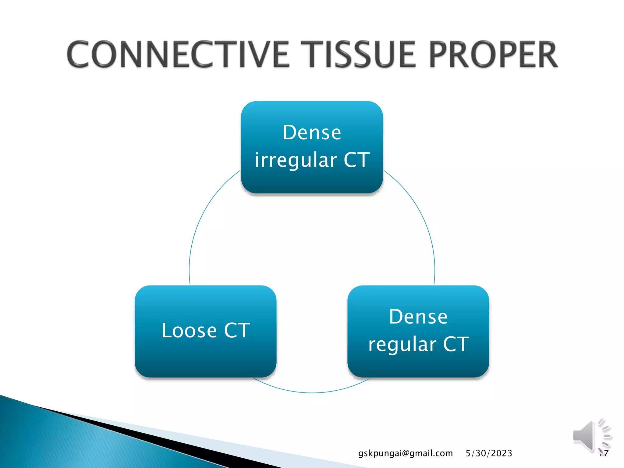 Dense
irregular CT
Dense
regular CT
Loose CT
17
gskpungai@gmail.com 5/30/2023
 