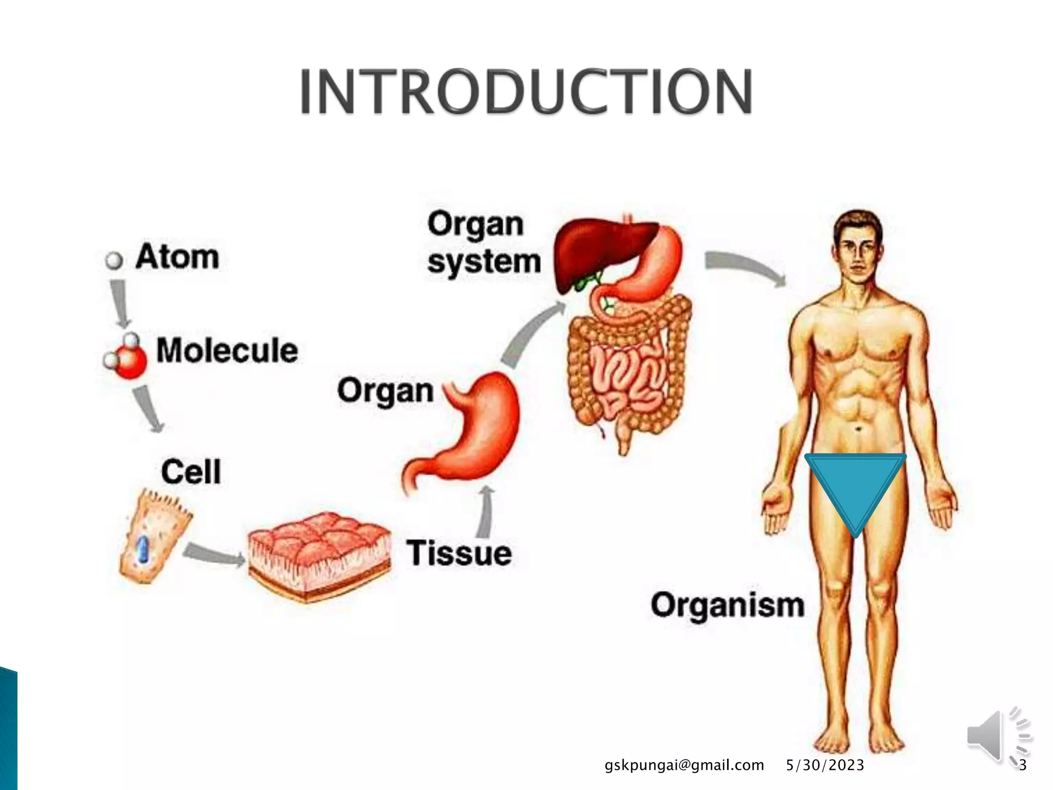 5/30/2023
gskpungai@gmail.com 3
 