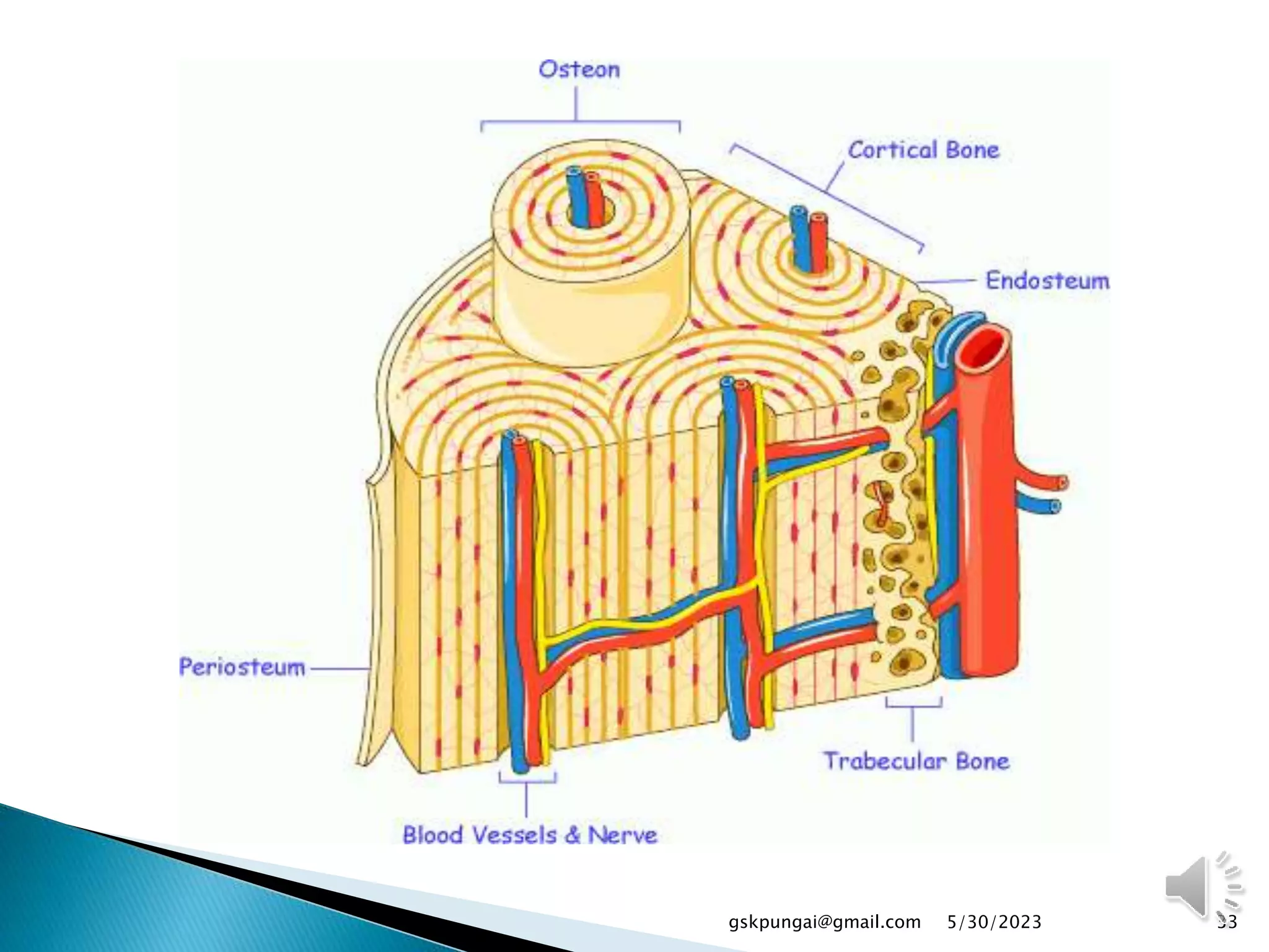 33
gskpungai@gmail.com 5/30/2023
 