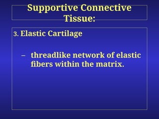 Network Tissue connective tissue in living organisms with detail.ppt