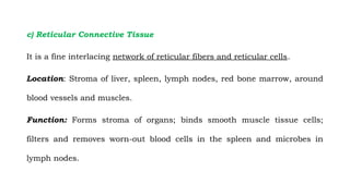 Fine Reticular Network CONNECTIVE TISSUE (Classification, Structure, Location and Functions).pptx
