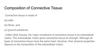 Comprehensive Overview of Connective Tissue: Structure, Types, and ...