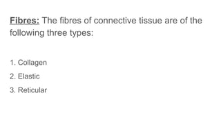 Comprehensive Overview of Connective Tissue: Structure, Types, and ...