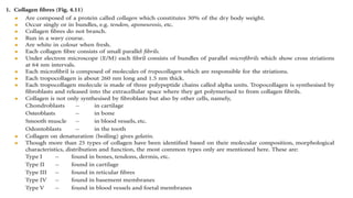 Comprehensive Overview of Connective Tissue: Structure, Types, and ...