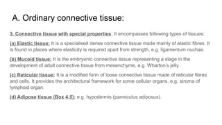 Comprehensive Overview of Connective Tissue: Structure, Types, and ...