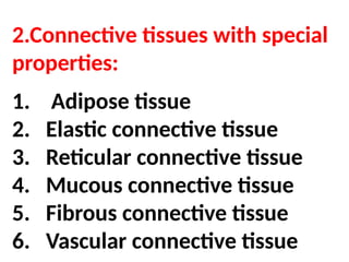 Comprehensive Overview of Connective Tissue Structure and Function in ...