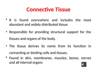 Comprehensive Overview of Connective Tissue Structure and Function in ...