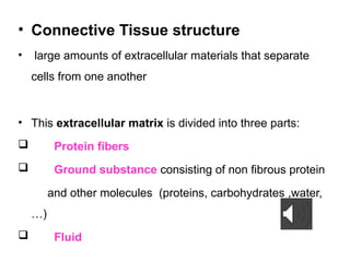 Comprehensive Overview of Connective Tissue Structure and Function in ...