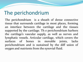 Connective tissue blood+cartilage | PPTX