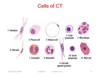 Cells of CT
1/28/2024 8:10 AM By Asfaw B. medicine class 17
 