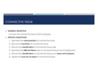 Connective tissue histology for supplement review.pdf
