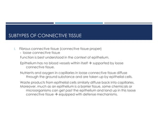 Connective tissue histology for supplement review.pdf