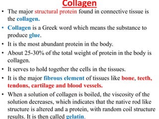 Connective tissue protiens | PDF