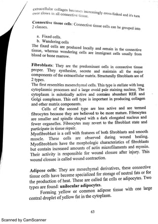 Scanned by CamScanner 
 