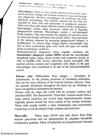 Scanned by CamScanner 
 