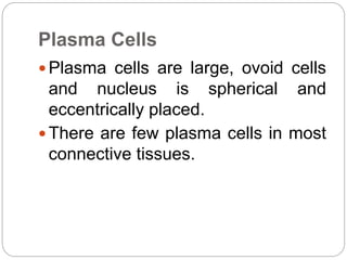Plasma Cells
 Plasma cells are large, ovoid cells
and nucleus is spherical and
eccentrically placed.
 There are few plasma cells in most
connective tissues.
 